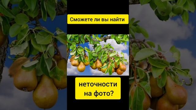 Тест на внимательность смотреть онлайн