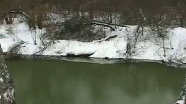 Воря смотреть онлайн