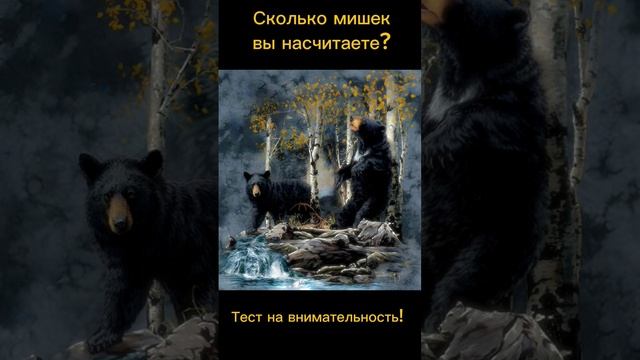Тест на внимательность смотреть онлайн