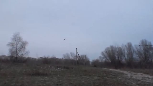 К перемене погоды смотреть онлайн