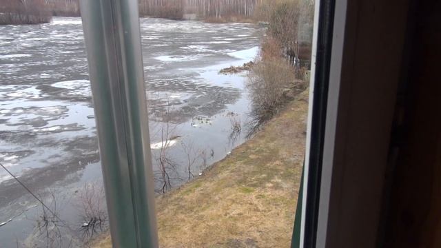 подсадная и селезень смотреть онлайн