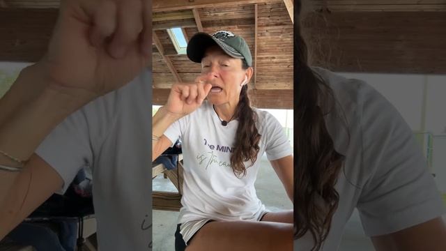 Workout and protein requirements смотреть онлайн