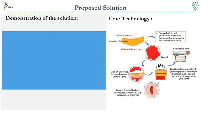 Burns Wound Dressing - Prof. Prakriti Tayalia, BSBE Dept, IIT Bombay смотреть онлайн