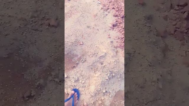 vídeo dos elementos смотреть онлайн