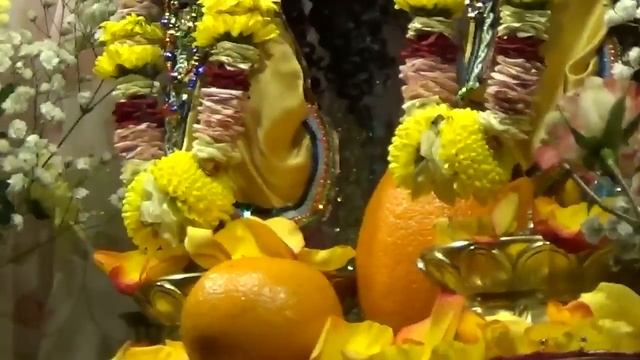 Даршан Божеств на Гаура Пурниму Гродно 2017.03.12 смотреть онлайн