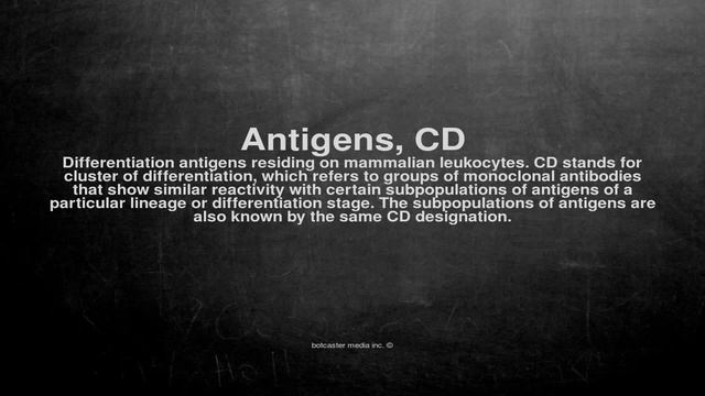 Medical vocabulary: What does Antigens, CD mean смотреть онлайн