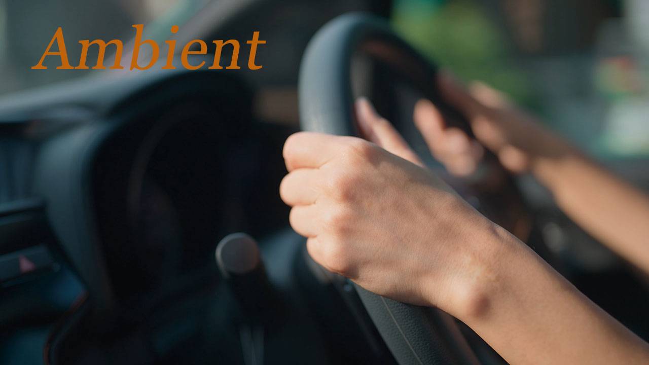 Жизнь это дорога. & Vita est via. смотреть онлайн