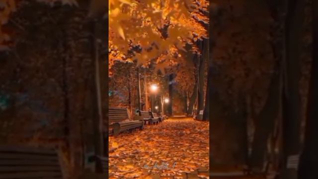 На ковре из жёлтых листьев 🍂🍁🍂
М&М
Мария Куликова и Максим Аверин смотреть онлайн