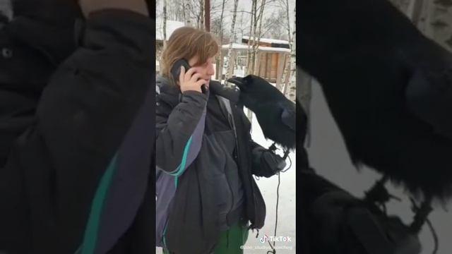 Download (1) смотреть онлайн