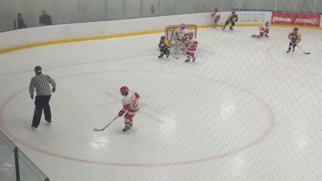 Dogs vs PH 21 смотреть онлайн