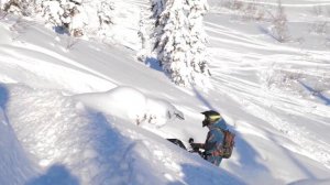 Приисковое сезон - 2022