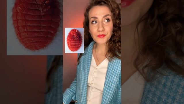 Жуки в мармеладе! #кармин #красители #вредныенасекомые #вредныесладости #вредно #нутрициолог смотреть онлайн