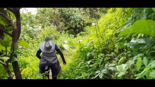 द्रोणागिरी किल्ला | उरण | रायगड | Dronagiri Fort | Uran | Raigad смотреть онлайн