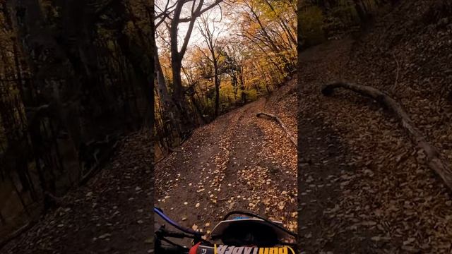 В осени нет печали. ее придумали печальные люди… смотреть онлайн