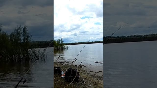 Признаки подхода крупной рыбы на точку. смотреть онлайн