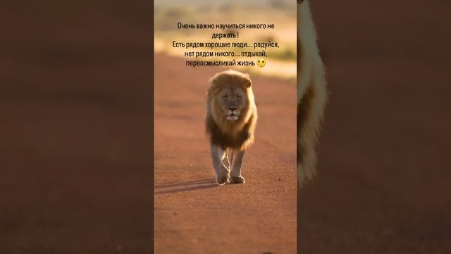 Именно так смотреть онлайн