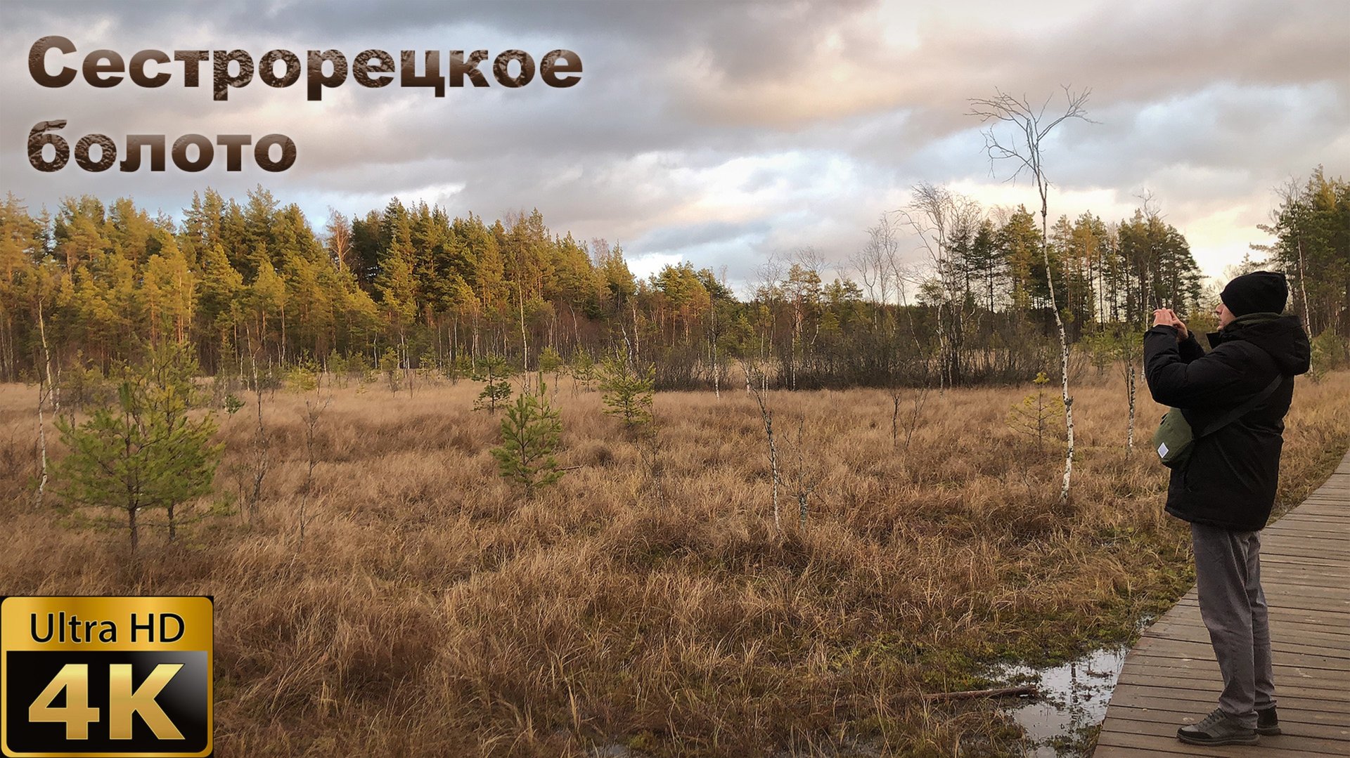 Сестрорецкое болото смотреть онлайн