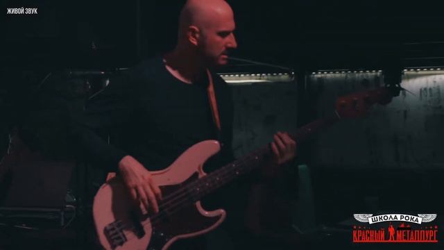 WOLFRAM | LINE UP! смотреть онлайн