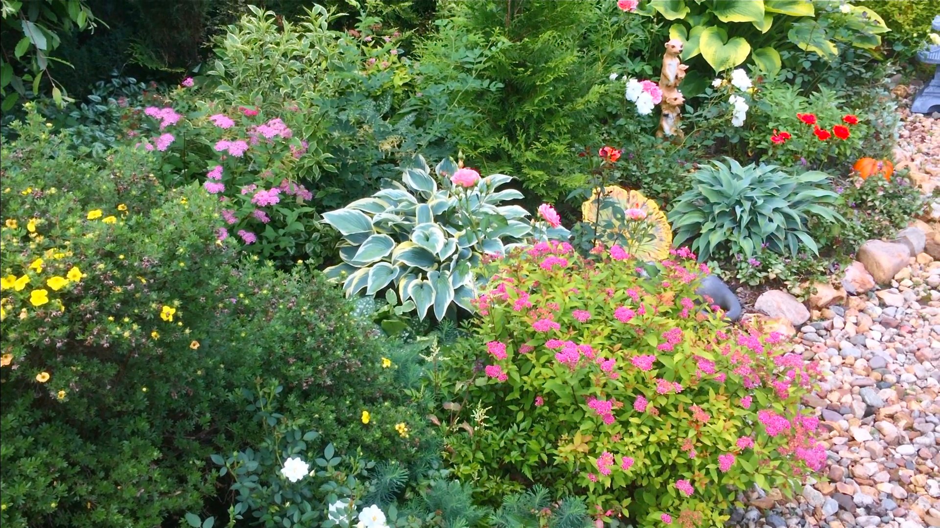 Подбор растений. ВЕЙГЕЛЫ / БУЗУЛЬНИК / ТРАДЕСКАНЦИЯ / ХОСТЫ / МОЛОЧАЙ / РОЗЫ и др. Видео 2021г. смотреть онлайн