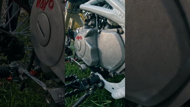 Питбайк Kayo смотреть онлайн