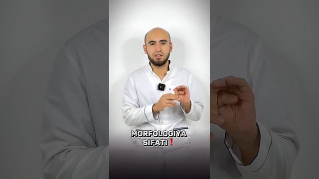 Tezroq Homilador Bo’lish!