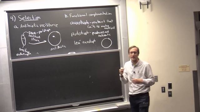 16. Recombinant DNA, Cloning, & Editing смотреть онлайн