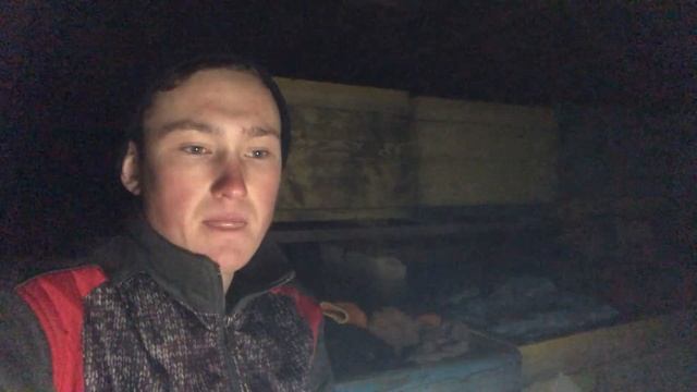 4 СЕКРЕТА ХОРОШЕЙ ЗИМОВКИ ПЧЕЛ. КЛЕЩ ПРИЧИНА СЛЕТА ПЧЕЛ. смотреть онлайн
