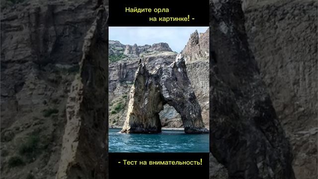 Тест для самых зорких смотреть онлайн