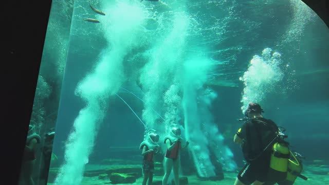 Ресторан Нэмо смотреть онлайн