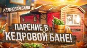 Наша великолепная баня в действии! Парение в кедровой бане на выставке возле Мега Дыбенко!