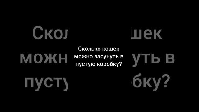 Тест на внимательность смотреть онлайн