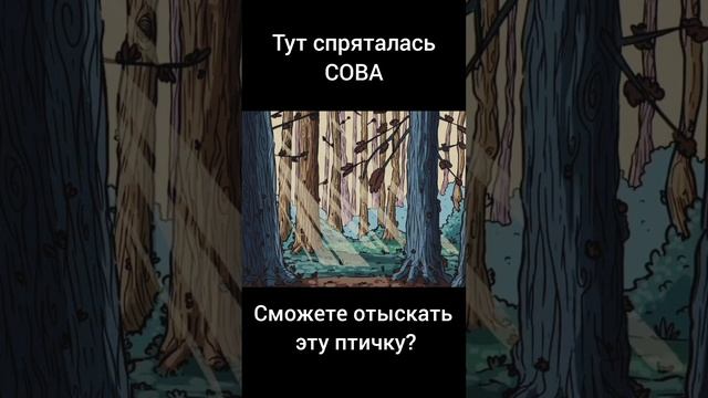 Тест на внимательность смотреть онлайн