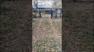 подвесные ворота со съемной балкой