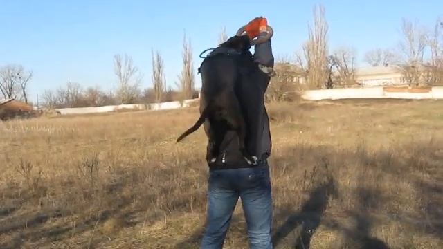 NIKA смотреть онлайн