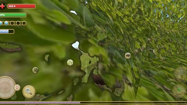 Прохождение Симулятор Белки Выживание | Часть 1 смотреть онлайн