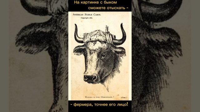Тест на внимательность смотреть онлайн