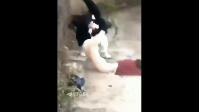 8a darsdan qochsa kimi snifda bor shunaqa qizlar смотреть онлайн