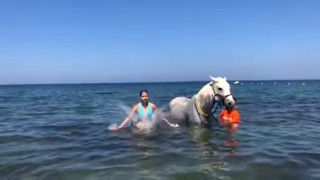 Прыжок с лошади в море смотреть онлайн
