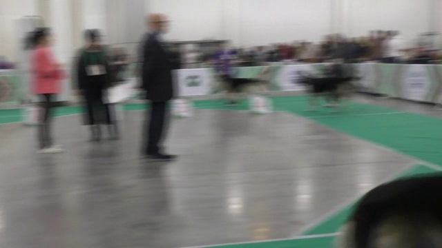 Класс юниоров смотреть онлайн