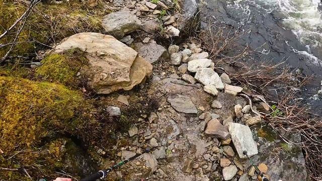 Жигалан и Кваркуш