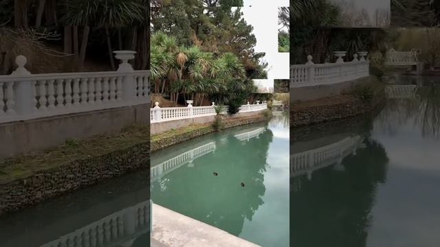 Какая зима в Сочи на самом деле? #сочи #сочи2023 смотреть онлайн