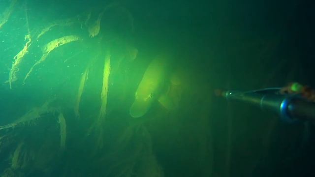 Подводная охота - холодная зимняя речка смотреть онлайн