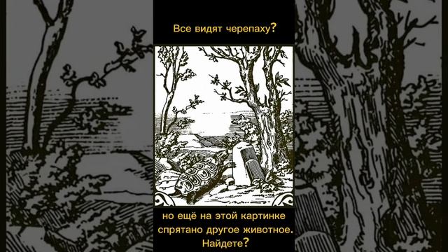 Тест на внимательность смотреть онлайн