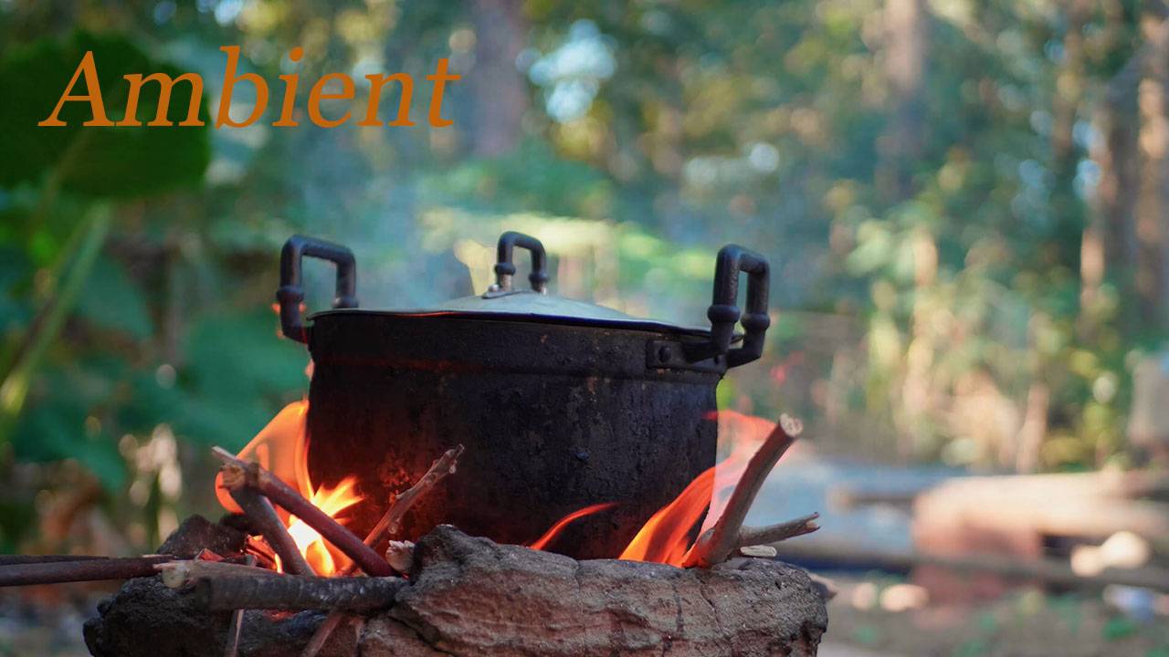 Лесная жизнь. & Forest life. смотреть онлайн