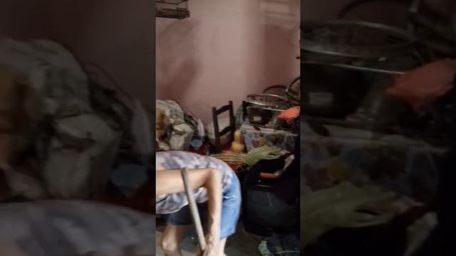 Dona Leda bolada.kkkkk смотреть онлайн