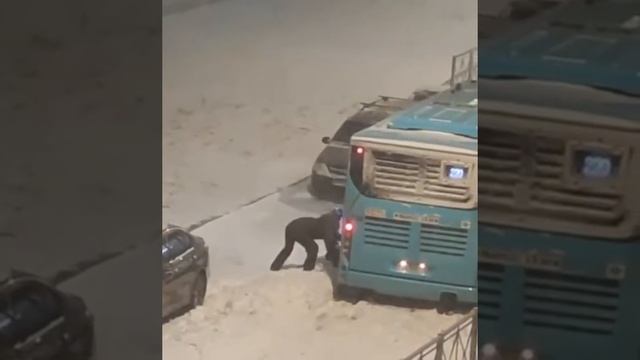 Санкт-Петербургда куп кор еккани туфайли афто транспорт харакати чекланмокда.Cankpeterburgda kop смотреть онлайн