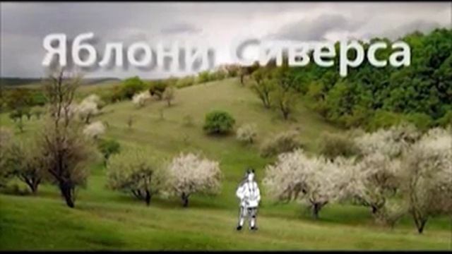 "Страна Знаний" - Выпуск №2 смотреть онлайн