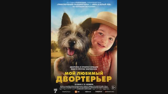 Мой любимый двортерьер смотреть онлайн