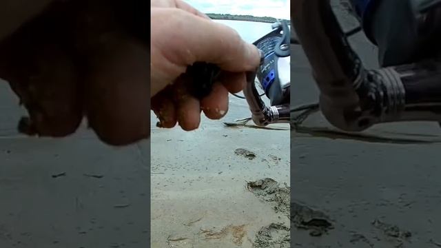 8 сентября 2024 г. смотреть онлайн