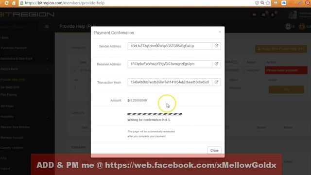 BitRegion - How to PH and Earns Real-time. смотреть онлайн